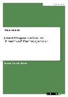 Philipp Hänicke - Johann Wolfgang von Goethes "Prometheus". Eine Interpretation