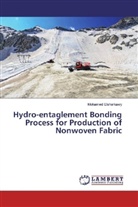 Mohamed Elsharkawy - Hydro-entaglement Bonding Process for Production of Nonwoven Fabric