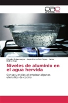 Mo, Karina Molina Rojas, Edyleib Rojas Angulo, Edyleiba Rojas Angulo, Angie Korin Ruíz Rojas, Angie Korina Ruíz Rojas - Niveles de aluminio en el agua hervida