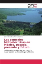 Leonardo de Jesús Ramos Gutiérrez - Las centrales hidroeléctricas en México, pasado, presente y futuro