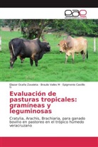 Castillo, EPIGMENIO CASTILLO G, Epigmenio Castillo Gallegas, Eliaza Ocaña Zavaleta, Eliazar Ocaña Zavaleta, Brauli Valles M... - Evaluación de pasturas tropicales: gramíneas y leguminosas