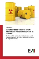 Emilio Ballicu - Caratterizzazione dei rifiuti radioattivi nel Sito Nucleare di Caorso