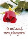 R. Sala - Se mi ami, non piangere!