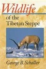George Schaller, George B. Schaller, Schaller George B. - Wildlife of the Tibetan Steppe