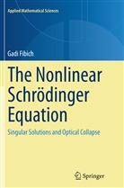 Gadi Fibich - The Nonlinear Schrödinger Equation
