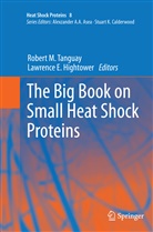 E Hightower, E Hightower, Lawrence E. Hightower, Rober M Tanguay, Robert M Tanguay, Robert M Tanguay... - The Big Book on Small Heat Shock Proteins