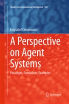 Krzysztof Cetnarowicz - A Perspective on Agent Systems