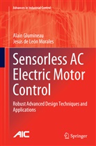 Jesus de Leon Morales, Jesús de Leon Morales, Alai Glumineau, Alain Glumineau - Sensorless AC Electric Motor Control