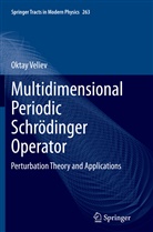 Oktay Veliev - Multidimensional Periodic Schrödinger Operator