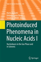 Mario Barbatti, Antonio Carlos Borin, Antoni Carlos Borin, Antonio Carlos Borin, Susanne Ullrich - Photoinduced Phenomena in Nucleic Acids I