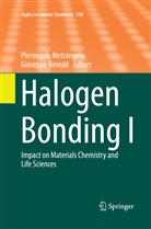 Pierangel Metrangolo, Pierangelo Metrangolo, Resnati, Resnati, Giuseppe Resnati - Halogen Bonding I