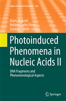 Mario Barbatti, Antonio Carlos Borin, Antoni Carlos Borin, Antonio Carlos Borin, Susanne Ullrich - Photoinduced Phenomena in Nucleic Acids II