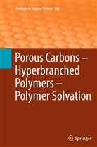 Timothy E. Long, Oguz Okay, Brigitt Voit, Brigitte Voit - Porous Carbons - Hyperbranched Polymers - Polymer Solvation