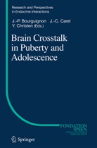 Jean-Pierre Bourguignon, Jean-Claud Carel, Jean-Claude Carel, Yves Christen - Brain Crosstalk in Puberty and Adolescence