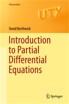 David Borthwick - Introduction to Partial Differential Equations