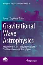 Carlo F Sopuerta, Carlos F Sopuerta, Carlos F. Sopuerta - Gravitational Wave Astrophysics