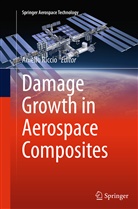 Aniell Riccio, Aniello Riccio - Damage Growth in Aerospace Composites