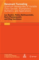Le Baskin, Lev Baskin, Pekk Neittaanmäki, Pekka Neittaanmäki, Bori Plamenevskii, Boris Plamenevskii... - Resonant Tunneling