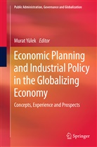 Mura Yülek, Murat Yülek - Economic Planning and Industrial Policy in the Globalizing Economy