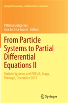 Patríci Gonçalves, Patrícia Gonçalves, Jacinta Soares, Jacinta Soares, Ana Jacinta Soares - From Particle Systems to Partial Differential Equations II