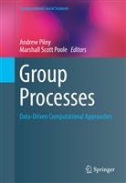 Andre Pilny, Andrew Pilny, Marshall Scott Poole, Scott Poole, Scott Poole - Group Processes