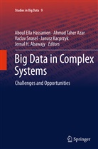 Jemal H. Abawajy, Ahmad Taher Azar, Aboul Ella Hassanien, Aboul-Ella Hassanien, Janusz Kacprzyk, Vaclav Snasael... - Big Data in Complex Systems
