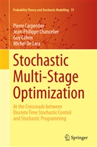 Pierr Carpentier, Pierre Carpentier, Jean-Philipp Chancelier, Jean-Philippe Chancelier, Cohen, Guy Cohen... - Stochastic Multi-Stage Optimization