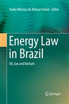 Yanko Marcius de Alencar Xavier, Yank Marcius de Alencar Xavier, Yanko Marcius de Alencar Xavier - Energy Law in Brazil