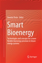Daniel Thrän, Daniela Thrän - Smart Bioenergy