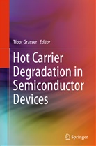 Tibo Grasser, Tibor Grasser - Hot Carrier Degradation in Semiconductor Devices