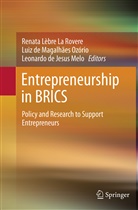 Leonardo de Jesus Melo, Lui de Magalhães Ozório, Luiz de Magalhães Ozório, Renata La Rovere, Renata Lèbre La Rovere, Luiz Ozório - Entrepreneurship in BRICS