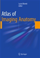 Luci Olivetti, Lucio Olivetti - Atlas of Imaging Anatomy