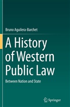 Bruno Aguilera Barchet, Bruno Aguilera-Barchet - A History of Western Public Law