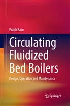 Prabir Basu - Circulating Fluidized Bed Boilers