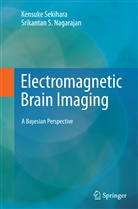 Srikantan S Nagarajan, Srikantan S. Nagarajan, Kensuk Sekihara, Kensuke Sekihara - Electromagnetic Brain Imaging