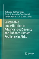 Lars Olav Eik, David O. Hansen, David Kraybill, Dismas L Mwaseba et al, Rattan Lal, Dismas L. Mwaseba... - Sustainable Intensification to Advance Food Security and Enhance Climate Resilience in Africa