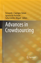 Sofia Estelles-Miguel, Fernando J. Garrigos-Simon, Ignaci Gil-Pechuán, Ignacio Gil-Pechuán - Advances in Crowdsourcing