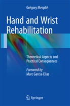 Grégory Mesplié - Hand and Wrist Rehabilitation