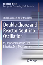 Thiago Junqueira de Castro Bezerra - Double Chooz and Reactor Neutrino Oscillation