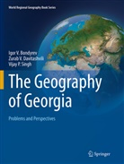 Igor Bondyrev, Igor V Bondyrev, Igor V. Bondyrev, Zurab Davitashvili, Zurab V Davitashvili, Zurab V. Davitashvili... - The Geography of Georgia