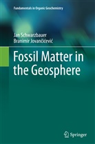 Branimir Jovan¿i¿evi¿, Branimir Jovancicevic, Branimir Jovančićević, Ja Schwarzbauer, Jan Schwarzbauer - Fossil Matter in the Geosphere