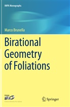 Marco Brunella - Birational Geometry of Foliations