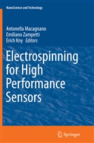 Erich Kny, Antonella Macagnano, Emilian Zampetti, Emiliano Zampetti - Electrospinning for High Performance Sensors