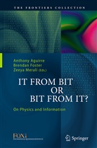 Anthony Aguirre, Brenda Foster, Brendan Foster, Zeeya Merali - It From Bit or Bit From It?