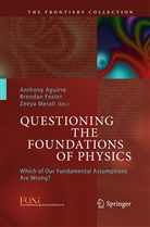 Anthony Aguirre, Brenda Foster, Brendan Foster, Zeeya Merali - Questioning the Foundations of Physics