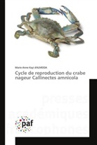Marie-Anne Kayi d'ALMEIDA - Cycle de reproduction du crabe nageur Callinectes amnicola