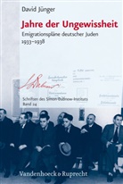 David Jünger - Jahre der Ungewissheit
