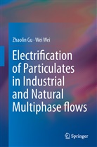 Zhaoli Gu, Zhaolin Gu, Wei Wei - Electrification of Particulates in Industrial and Natural Multiphase flows