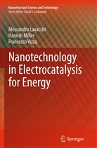 Alessandr Lavacchi, Alessandro Lavacchi, Hamis Miller, Hamish Miller, Frances Vizza, Francesco Vizza - Nanotechnology in Electrocatalysis for Energy
