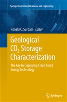 Ronal C Surdam, Ronald C Surdam, Ronald C. Surdam - Geological CO2 Storage Characterization